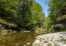 11,6 Mio. Euro für den Gewässerschutz