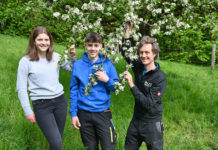 Artenreicher Obstgarten