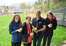 Dort, wo die Hühner weiden