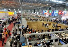 Eindrücke von der Animal Tech