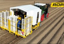 Gecko: Legemaschine für vorgekeimte Kartoffeln