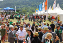 Die besten Bilder vom Lagerhaus Feldtag