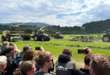 Große Show für Grünlandfans