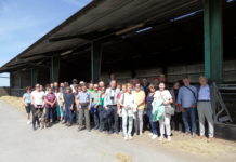 Elche und Wein im hohen Norden