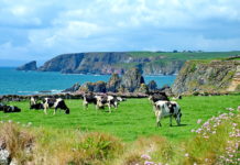 Keulen für den Klimaschutz