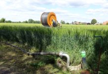 Bewässerung: Bauern müssen zahlen