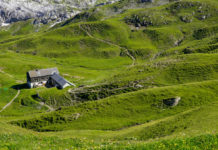 Die Alpwirtschaft befindet sich aktuell in schwieriger Lage