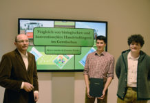 Gemüsebauliches Düngerexperiment