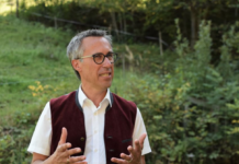 Strasser: „NGOs meilenweit am Ziel vorbei“