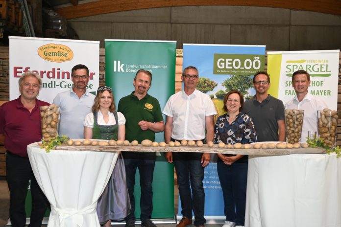Erdäpfel Saisonauftakt
