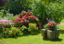 Wer hat die prächtigsten Gärten im ganzen Land?