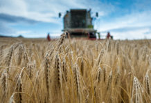 Weltbauerntag: Ohne Bauern keine Zukunft