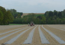 Plastikeinsatz in der Landwirtschaft bereits reduziert