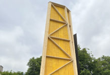 Wohin geht die Forstwirtschaft?