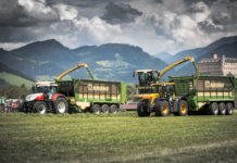 Vatertag ist Krone Big Day