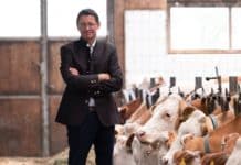 „Anonyme Billigmilch bringt viele Bauern unter Druck“