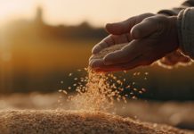 Rechnungshof mahnt Versorgungssicherheit ein