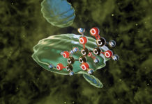 Infofilm zeigt: Nachhaltig genutztes Holz trägt zum Klimaschutz bei