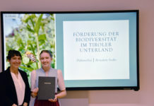 Biodiversität: Blick hinter vier Gartenzäune