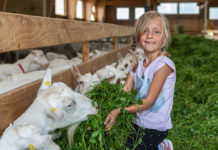 Meinungsumfrage bestätigt Bauernbund-Forderungspapier