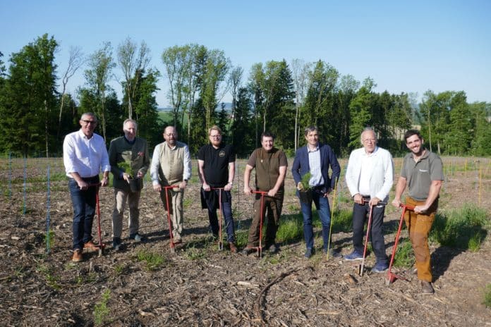 PA Zedernprojekt1 LK OÖ