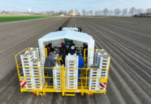 Legemaschine für vorgekeimte Kartoffeln