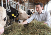 Keine Klimakiller – Wissenschaft und Bevölkerung entlasten Kühe