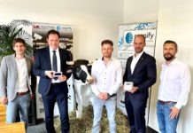 Eine Million Euro für Künstliche Intelligenz im Rinderstall