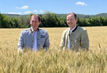 Gute Getreideernten erwartet