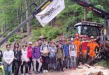 Warther Schüler zeigten fachgerechten Einsatz der Motorsäge bei Waldarbeit