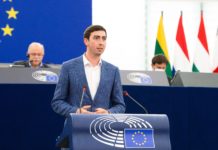 Abstimmungs-Krimi: Gesetz zur Wiederherstellung der Natur vorerst gestoppt