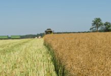 Raps geht auch gerne in Begleitung