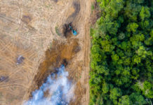 Bernhuber in Brasilien: „Mercosur in weiter Ferne“