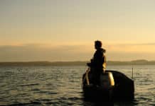 Bodenseefischer: Keine Felchen und Probleme mit Kormoranen