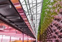 Sichern Sie sich Ihr Ticket für die VertiFarm 2023