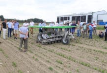 Roboter “erobern” Sonderkulturen