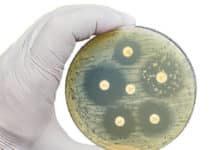 Tierarzneimittelgesetz: Neue Regeln zum Antibiotikaeinsatz