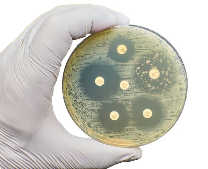 230706 W AdobeStock Nicolae