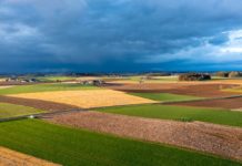 EFSA gibt Grünes Licht für Glyphosat-Zulassung