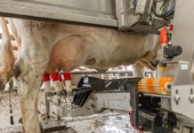 Milchleistungskontrolle wird mit 13 Millionen Euro unterstützt