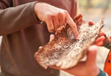 Turbulente Zeiten für Forst und Verarbeiter