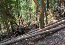 Im Süden Schäden kreuz und quer