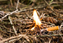 Nicht rauchen im Wald