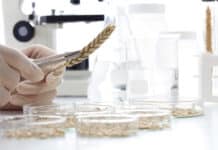 Zwischen Furcht und Sachlichkeit