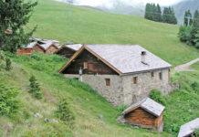 Statt Schwimmbad auf die Almwiese – Ehrenamtlicher Einsatz zum Erhalt der Almen