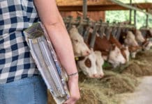 2022 war ein turbulentes Jahr für die Landwirtschaft