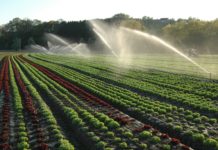 Wassergenossenschaft: Modell für nachhaltige Landwirtschaft