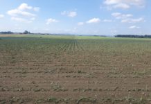 Hagel: Schwere Unwetter verursachten 5,2 Millionen Euro Schaden