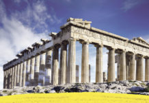 Erfolgreicher Rapsanbau mit LG APOLLONIA & ARCHITECT