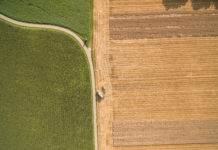 Bei Kontrolle vor Ort: Erntemenge nachweisen